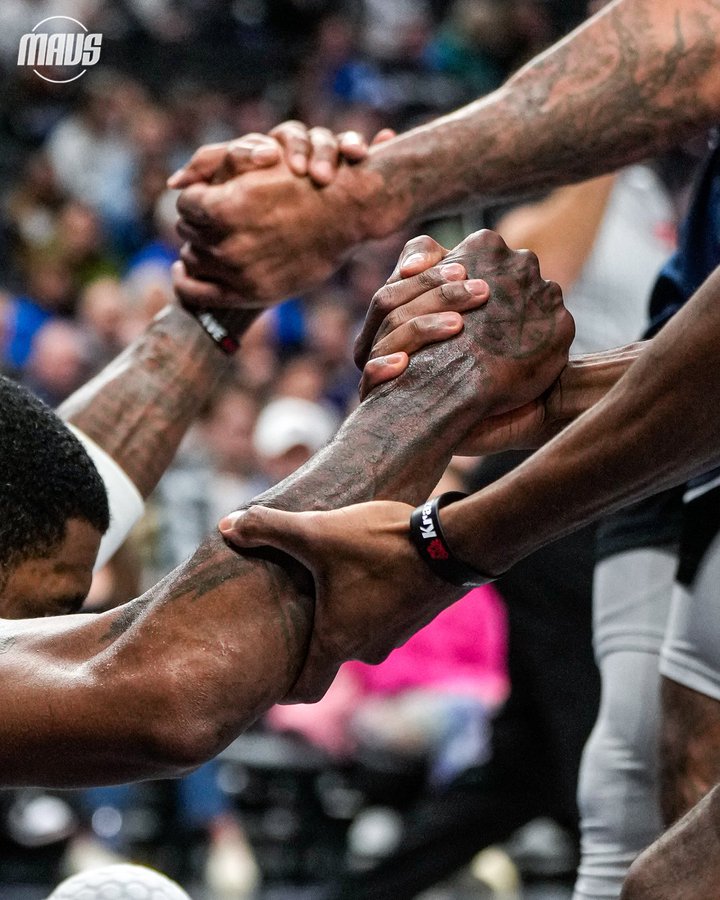 entit, msn, tenan entit, msn, tenan