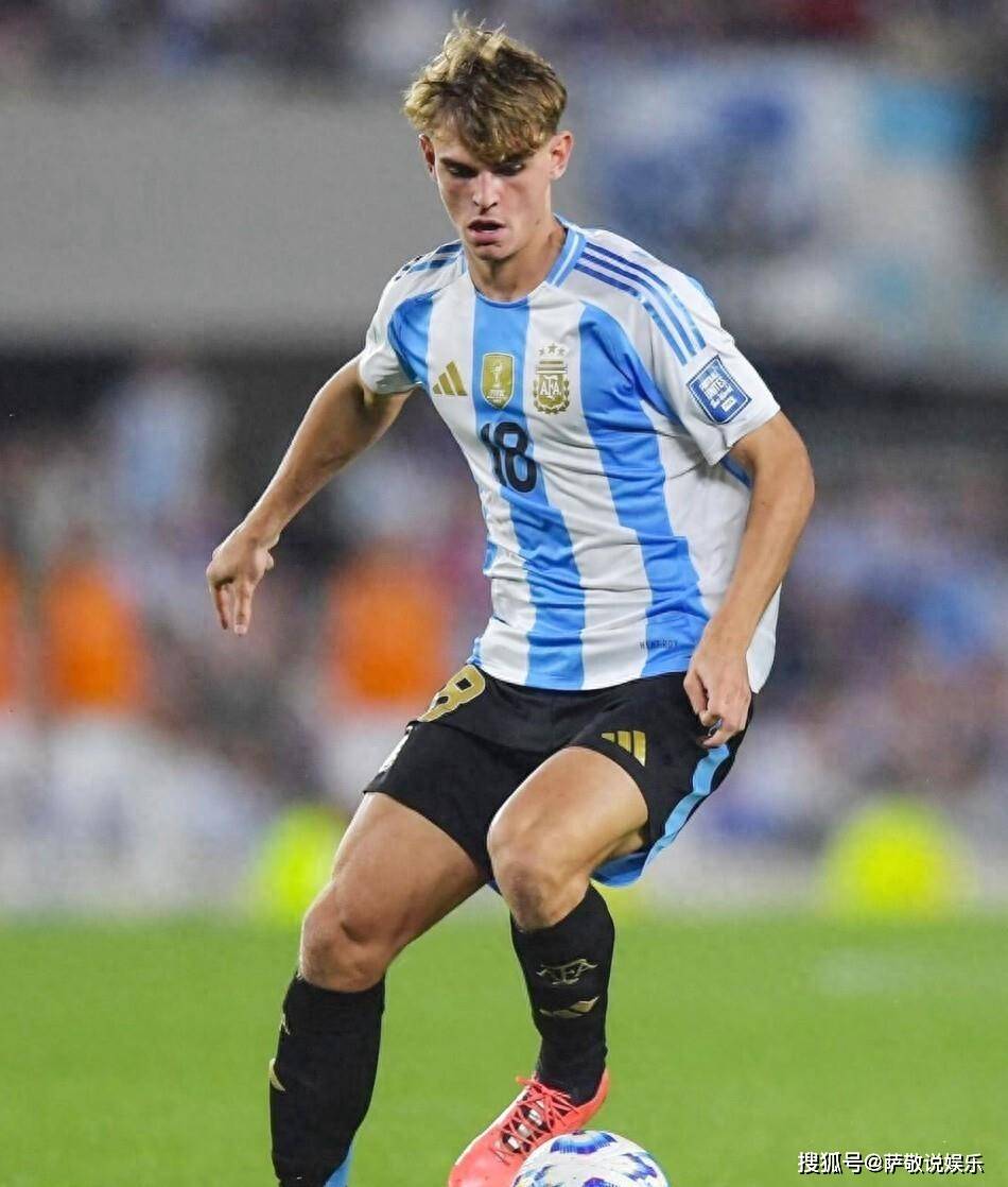 他们每年撒, 力新星, looka